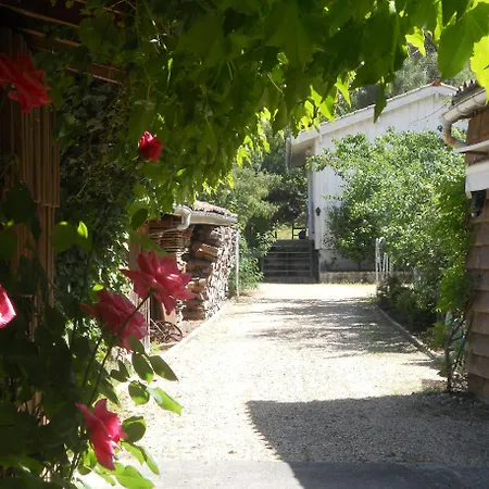 Mimosa Climatise Holiday home Biscarrosse