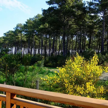 Mimosa Climatise Holiday home *