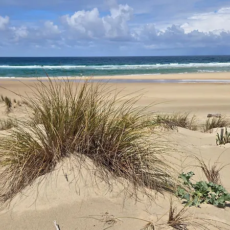 Mimosa Climatise Holiday home Biscarrosse